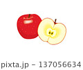 りんごイラスト 137056634