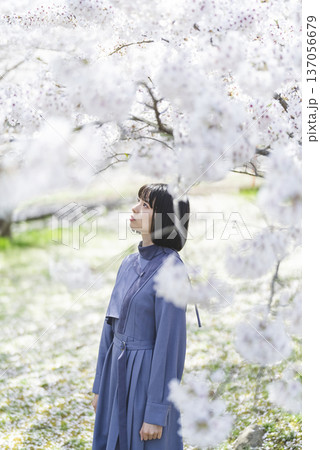 桜を見る若い女性 137056679