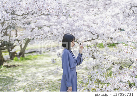 桜を見る若い女性 桜を見る若い女性 137056731