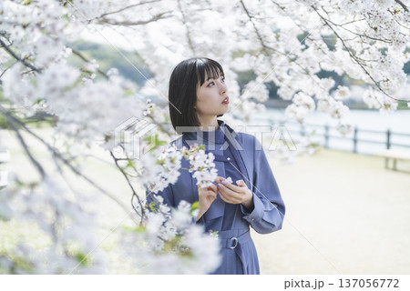 桜を見る若い女性 桜を見る若い女性 137056772