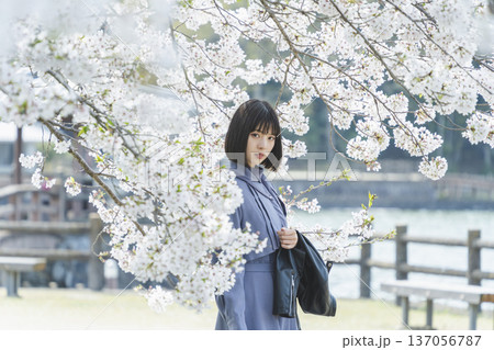 桜を見る女性 137056787