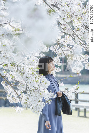 桜を見る女性 桜を見る女性 137056790