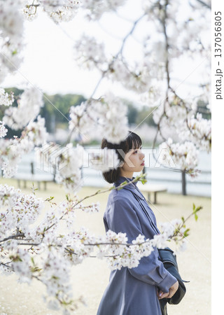 桜を見る女性 137056805