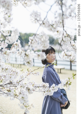 桜を見る女性 137056806