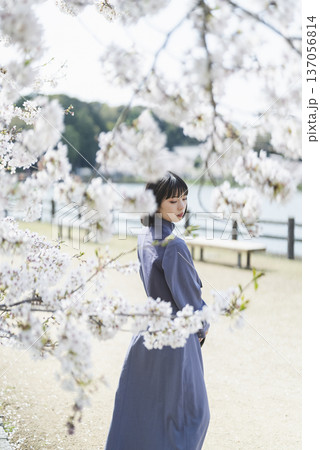 桜を見る女性 桜を見る女性 137056814
