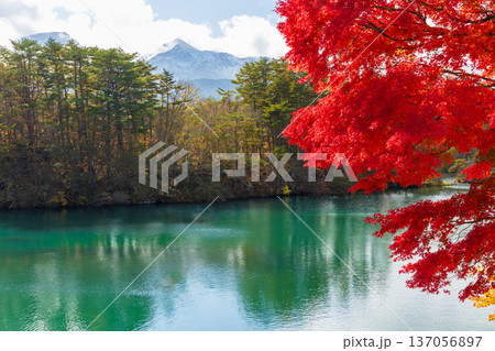 秋の福島裏磐梯 紅葉の五色沼湖沼群 毘沙門沼と磐梯山 秋の福島裏磐梯 紅葉の五色沼湖沼群 毘沙門沼と磐梯山 137056897