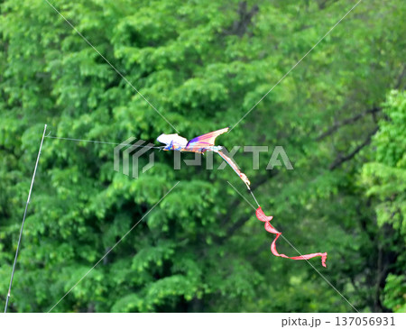 案山子 案山子 137056931