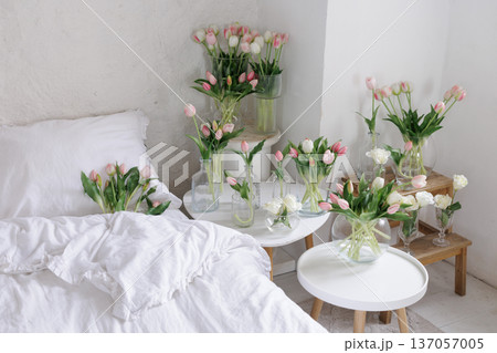 Multiple pink tulip bouquets arranged in glass vases around white bed in bright bedroom. Fresh spring flowers creating soft minimalist home atmosphere. Multiple pink tulip bouquets arranged in glass vases around white bed in bright bedroom. Fresh spring flowers creating soft minimalist home atmosphere. 137057005