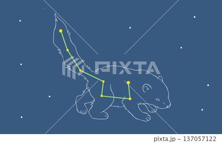 星空に浮かぶこぐま座のイラスト（小熊の絵と星座線） 137057122