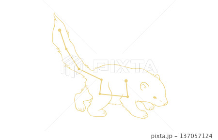 こぐま座の線画イラスト（ゴールド色で小熊の絵と星座線、線のみで塗りなし） 137057124