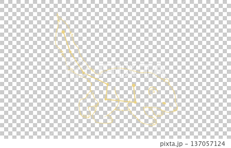 こぐま座の線画イラスト（ゴールド色で小熊の絵と星座線、線のみで塗りなし） 137057124