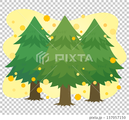 花粉を飛散する3本のスギの木のイラスト 花粉を飛散する3本のスギの木のイラスト 137057150
