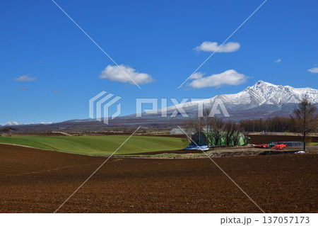 清里町向陽の農村風景 清里町向陽の農村風景 137057173