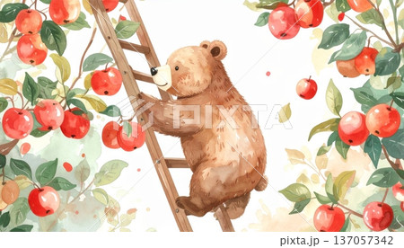 Watercolor Cartoon Bear Picking Apples from Ladder 137057342