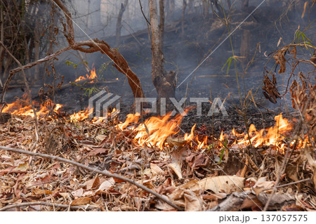 Wildfires release carbon dioxide (CO2) emissions and other greenhouse gases (GHG) that contribute to climate change. Wildfires release carbon dioxide (CO2) emissions and other greenhouse gases (GHG) that contribute to climate change. 137057575