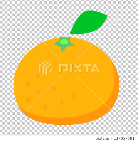 可愛い葉っぱ付きみかんのイラスト。ポップでシンプルな冬の果物・フルーツ素材。ベクター・白背景。 137057591