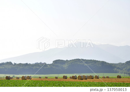 麦稈ロール 麦稈ロール 137058013