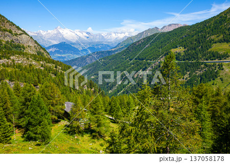 Summer Alpine landscape seen from Simplon Pass in Switzerland Summer Alpine landscape seen from Simplon Pass in Switzerland 137058178