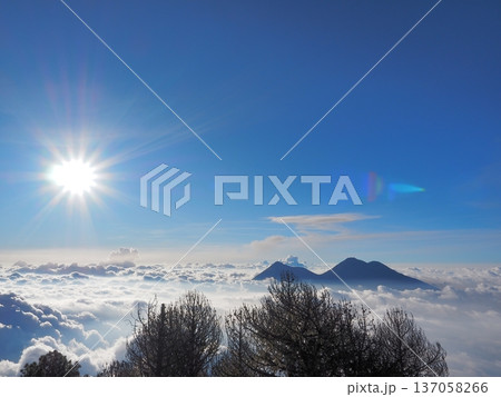 火山から見るアカテナンゴ火山とフエゴ火山　グアテマラ 137058266