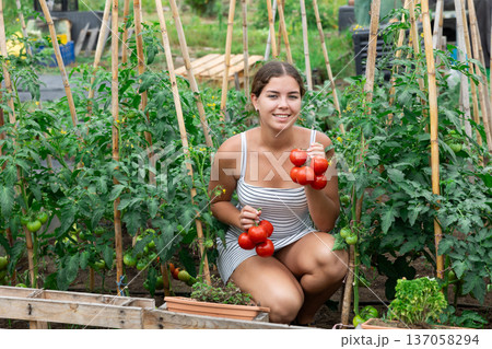 Young positive girl posing with red tomatoes in garden Young positive girl posing with red tomatoes in garden 137058294
