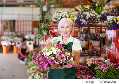 Woman flower seller holding petunia in hands in flower shop Woman flower seller holding petunia in hands in flower shop 137058350