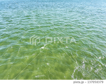 透き通った海 137058379