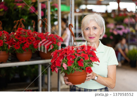 Portrait of contented elderly woman in greenhouse where begonias are grown 137058552
