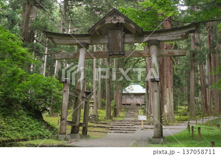 白山平泉寺 二の鳥居と拝殿 白山平泉寺 二の鳥居と拝殿 137058711