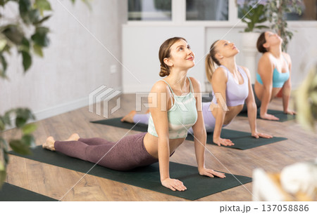 Sport women practice the cobra pose Sport women practice the cobra pose 137058886