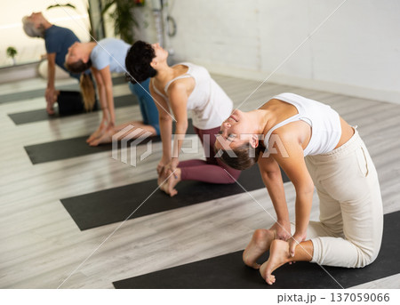 Group of people exercising during yoga class Group of people exercising during yoga class 137059066