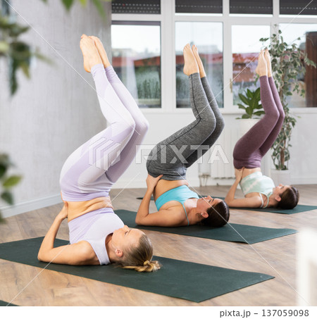 Slim sporty young women in active wear performing Sarvangasana supported shoulder stand pose during group yoga training in gym 137059098