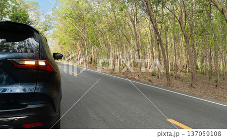 Luxury of car with turn on right signal on the asphalt road. Traveling of car drove along a road lined with numerous rubber tree plantations. Clear and sunny weather. Luxury of car with turn on right signal on the asphalt road. Traveling of car drove along a road lined with numerous rubber tree plantations. Clear and sunny weather. 137059108