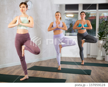 Diligent women practicing tree pose of yoga in light fitness room 137059128