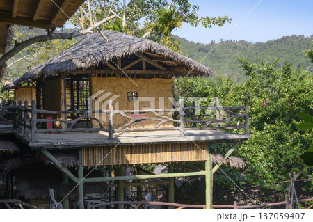 Adobe hut with thatched roof is raised on high poles in a village on the island of Hainan in China Adobe hut with thatched roof is raised on high poles in a village on the island of Hainan in China 137059407