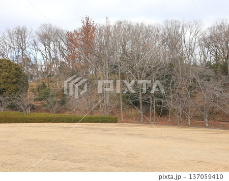 神戸市　西区　西神中央　近隣  西神中央公園 137059410