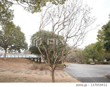 神戸市 西区 西神中央 近隣 西神中央公園 神戸市 西区 西神中央 近隣 西神中央公園 137059412