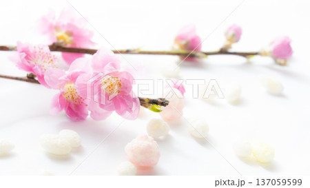 桃の花とひなあられ 白い背景 桃の花とひなあられ 白い背景 137059599