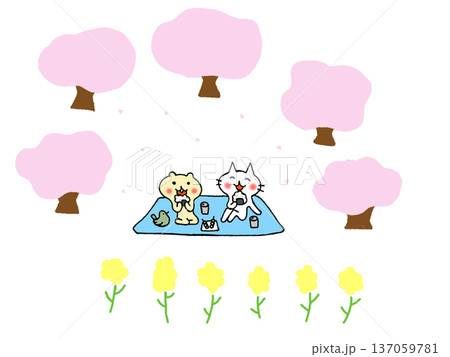 花見をする猫とリスのイラスト、桜と菜の花のイラスト 137059781