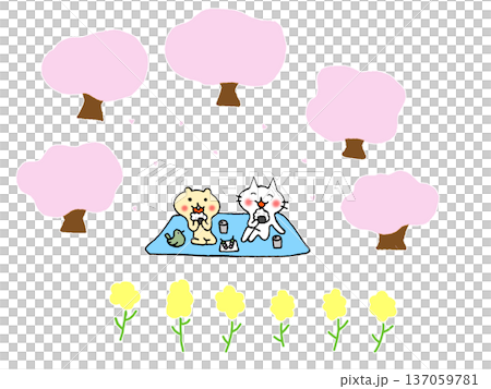 花見をする猫とリスのイラスト、桜と菜の花のイラスト 137059781