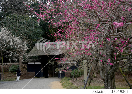 偕楽園 表門 偕楽園 表門 137059861