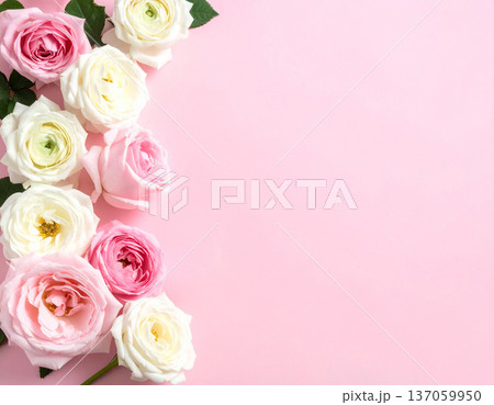 ピンクと白のバラで装飾されたピンク背景　母の日・春のお祝いシーズンの背景素材 137059950