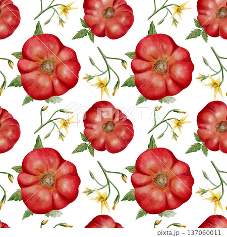 Seamless watercolor pattern with ripe heirloom tomatoes, leaves and yellow blossoms. Hand painted botanical illustration isolated on light background, perfect for textile, packaging, wallpaper and Seamless watercolor pattern with ripe heirloom tomatoes, leaves and yellow blossoms. Hand painted botanical illustration isolated on light background, perfect for textile, packaging, wallpaper and 137060011