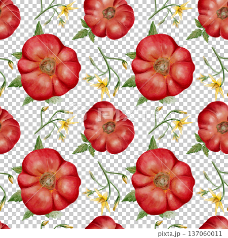 Seamless watercolor pattern with ripe heirloom tomatoes, leaves and yellow blossoms. Hand painted botanical illustration isolated on light background, perfect for textile, packaging, wallpaper and Seamless watercolor pattern with ripe heirloom tomatoes, leaves and yellow blossoms. Hand painted botanical illustration isolated on light background, perfect for textile, packaging, wallpaper and 137060011