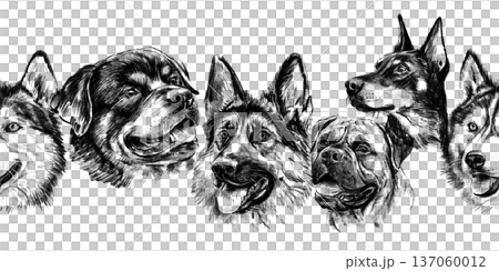 Seamless horizontal border with large dog breed portraits drawn in pencil. Hand drawn black and white rottweiler, german shepherd, husky and pit bull heads form bold repeating trim. High quality Seamless horizontal border with large dog breed portraits drawn in pencil. Hand drawn black and white rottweiler, german shepherd, husky and pit bull heads form bold repeating trim. High quality 137060012