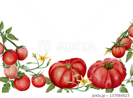 Hand painted watercolor border with ripe cherry tomatoes and large heirloom tomatoes, green leaves and yellow blossoms. Botanical composition with copy space, perfect for menus, packaging and organic Hand painted watercolor border with ripe cherry tomatoes and large heirloom tomatoes, green leaves and yellow blossoms. Botanical composition with copy space, perfect for menus, packaging and organic 137060025