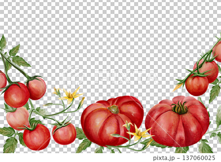 Hand painted watercolor border with ripe cherry tomatoes and large heirloom tomatoes, green leaves and yellow blossoms. Botanical composition with copy space, perfect for menus, packaging and organic Hand painted watercolor border with ripe cherry tomatoes and large heirloom tomatoes, green leaves and yellow blossoms. Botanical composition with copy space, perfect for menus, packaging and organic 137060025