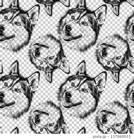 Seamless pattern of hand drawn Siberian Husky dog portraits. Detailed realistic graphite pencil illustration with expressive faces, isolated on white background. Repeat design for textile and print 137060033