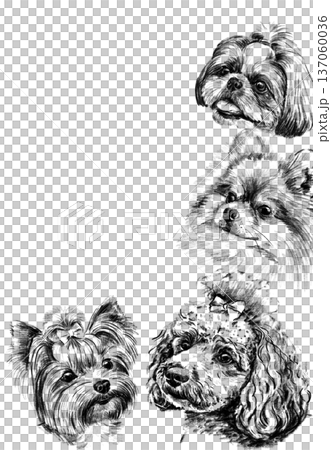 Hand drawn pencil illustration frame with small dog breed portraits. Black and white artwork featuring shih tzu, pomeranian, yorkshire terrier and poodle arranged as decorative border composition Hand drawn pencil illustration frame with small dog breed portraits. Black and white artwork featuring shih tzu, pomeranian, yorkshire terrier and poodle arranged as decorative border composition 137060036
