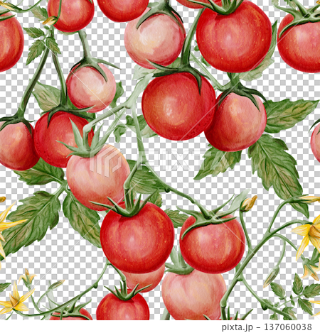 Seamless watercolor pattern with small ripe cherry tomatoes on vine, green leaves and yellow flowers. Hand painted botanical illustration of fresh garden vegetables isolated on light background. High Seamless watercolor pattern with small ripe cherry tomatoes on vine, green leaves and yellow flowers. Hand painted botanical illustration of fresh garden vegetables isolated on light background. High 137060038
