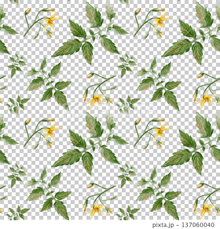 Seamless watercolor pattern with tomato leaves, stems and yellow blossoms. Hand painted botanical illustration isolated on light background, natural garden plant design for textile, print and decor Seamless watercolor pattern with tomato leaves, stems and yellow blossoms. Hand painted botanical illustration isolated on light background, natural garden plant design for textile, print and decor 137060040